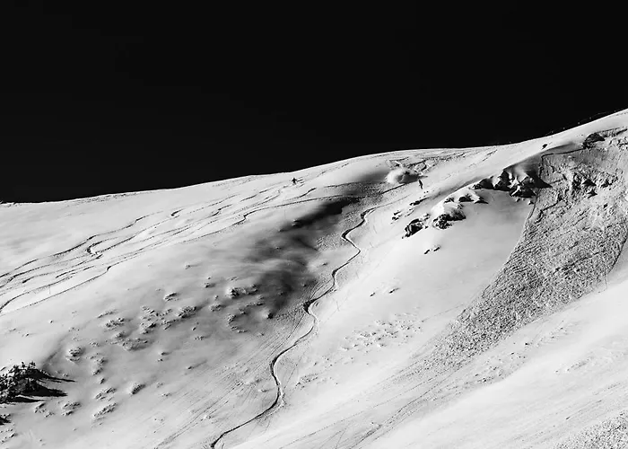 Telemark 414 *